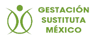 Logo de Corporativo GSM
